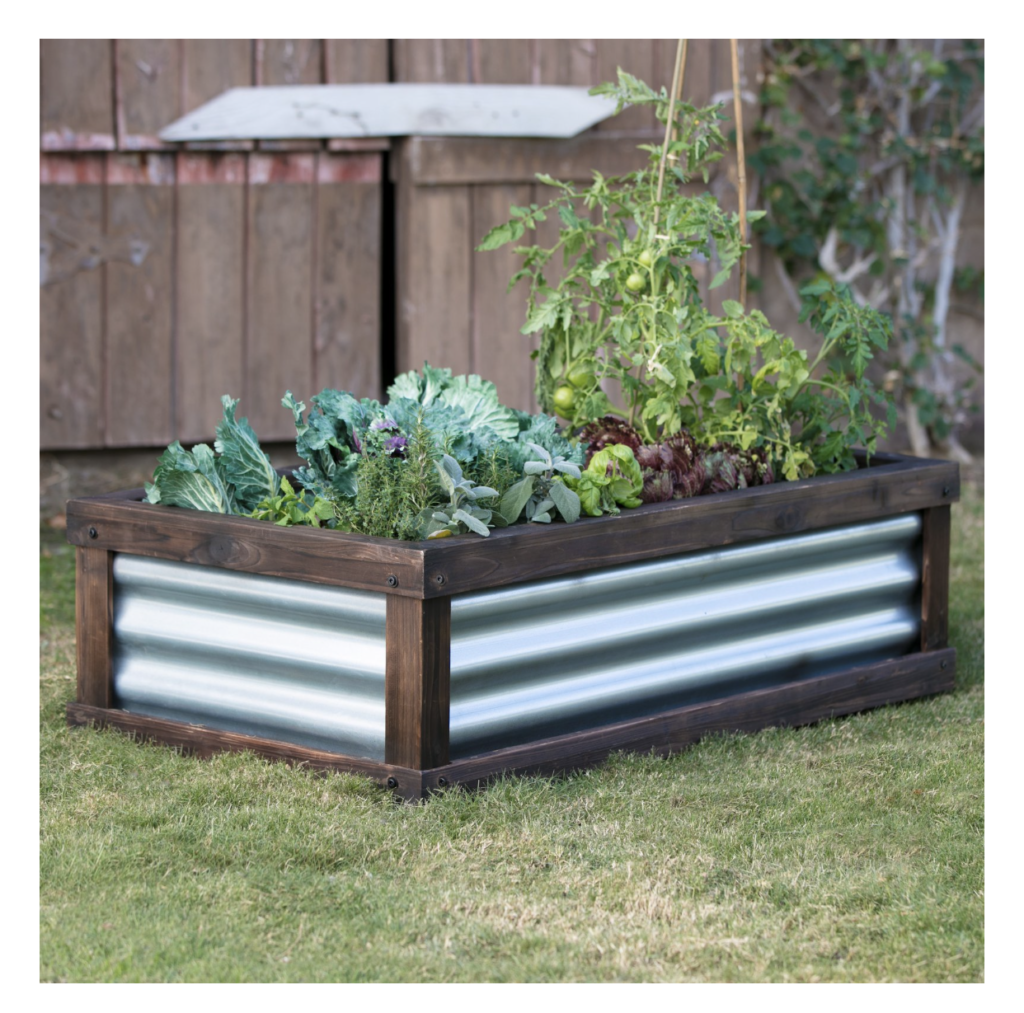Should I use straight compost for my raised beds or a mix with soil