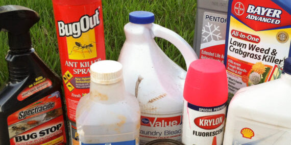 greenliving-570×570